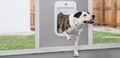 امکانات خانه هوشمند