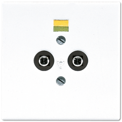 پریز همسان‌ساز پتانسیل مدل LS 965-2 WW