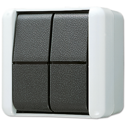 کلید دو بانده با مشخصات 10 AX / 250 V مدل 805 W